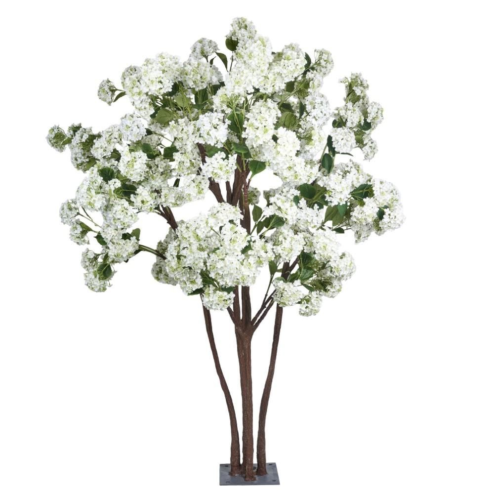 PIANTA ORTENSIA WHITE